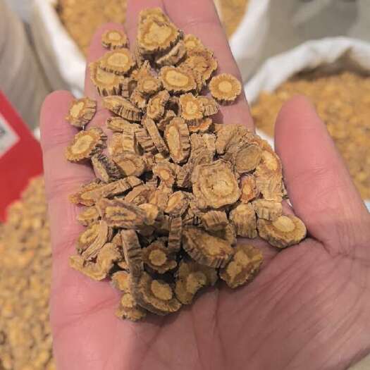正品防风 内蒙古防风【假一赔十】