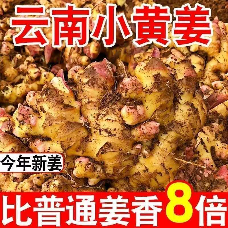 云南小黄姜一件代发市场批发社区团购供货