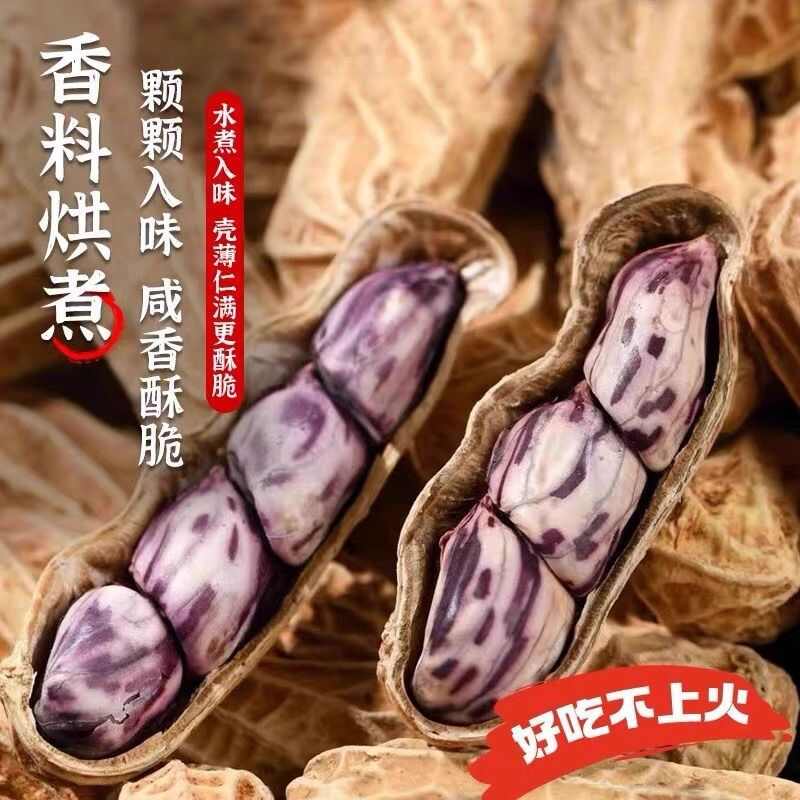 新货福建特产龙岩七彩花生湿烤工艺云南七彩花生开袋即食零食坚果