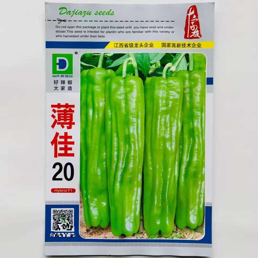 薄佳20薄皮椒种子早熟丰产长灯笼椒青椒种籽味较辣抗病辣椒种子