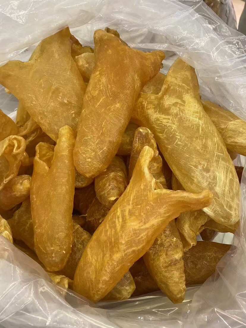 巨大黄花胶筒 淡干 可以散出 3头