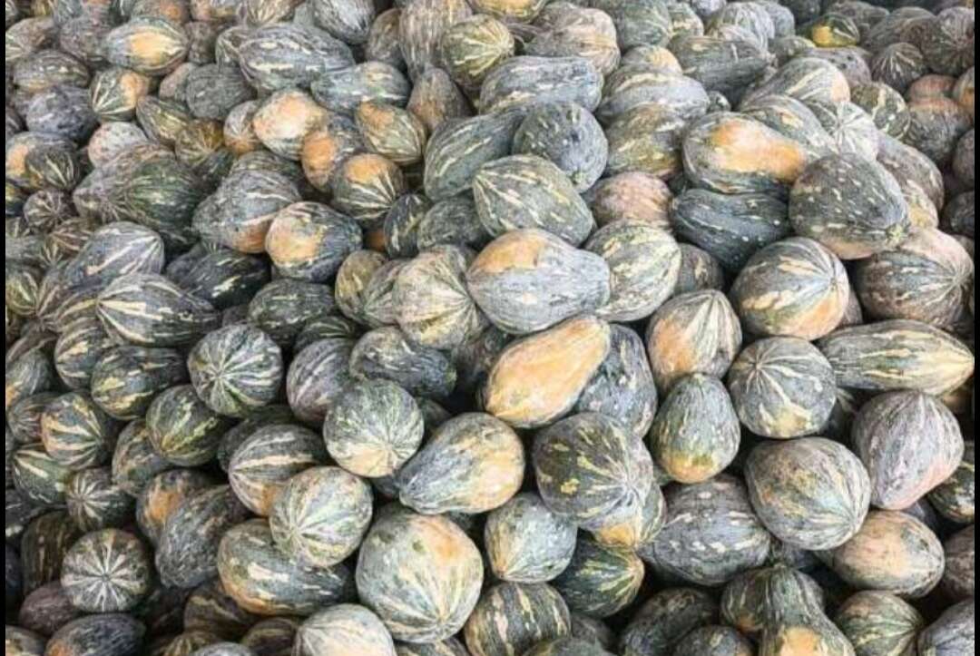 香芋南瓜，万亩基地，品质保障
