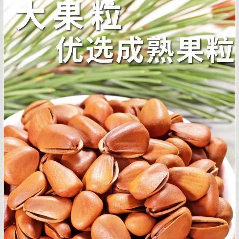 又一批松子大货已到，代发、批发拿货，有量大胆来谈价格你说了算