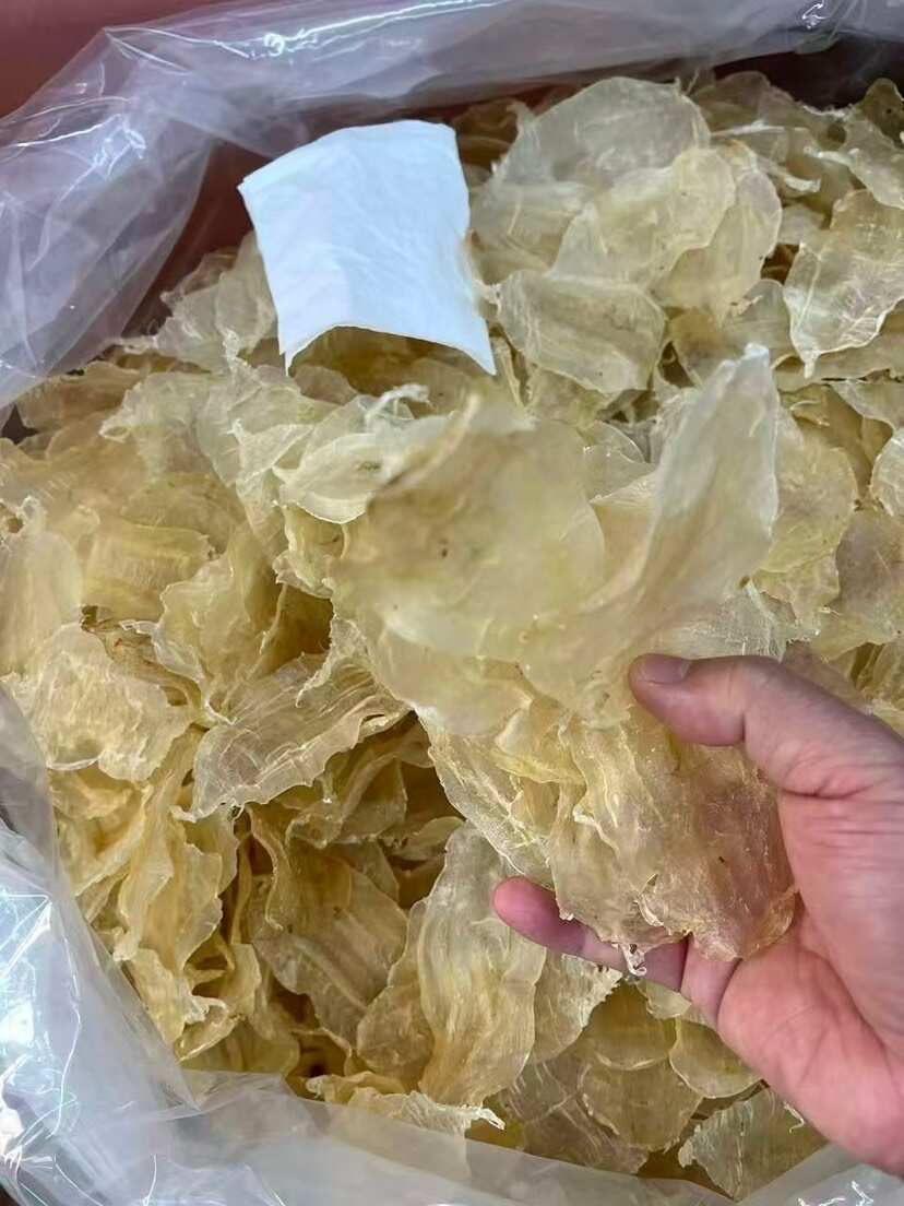 大囗白花胶 囗感胶质好135头
