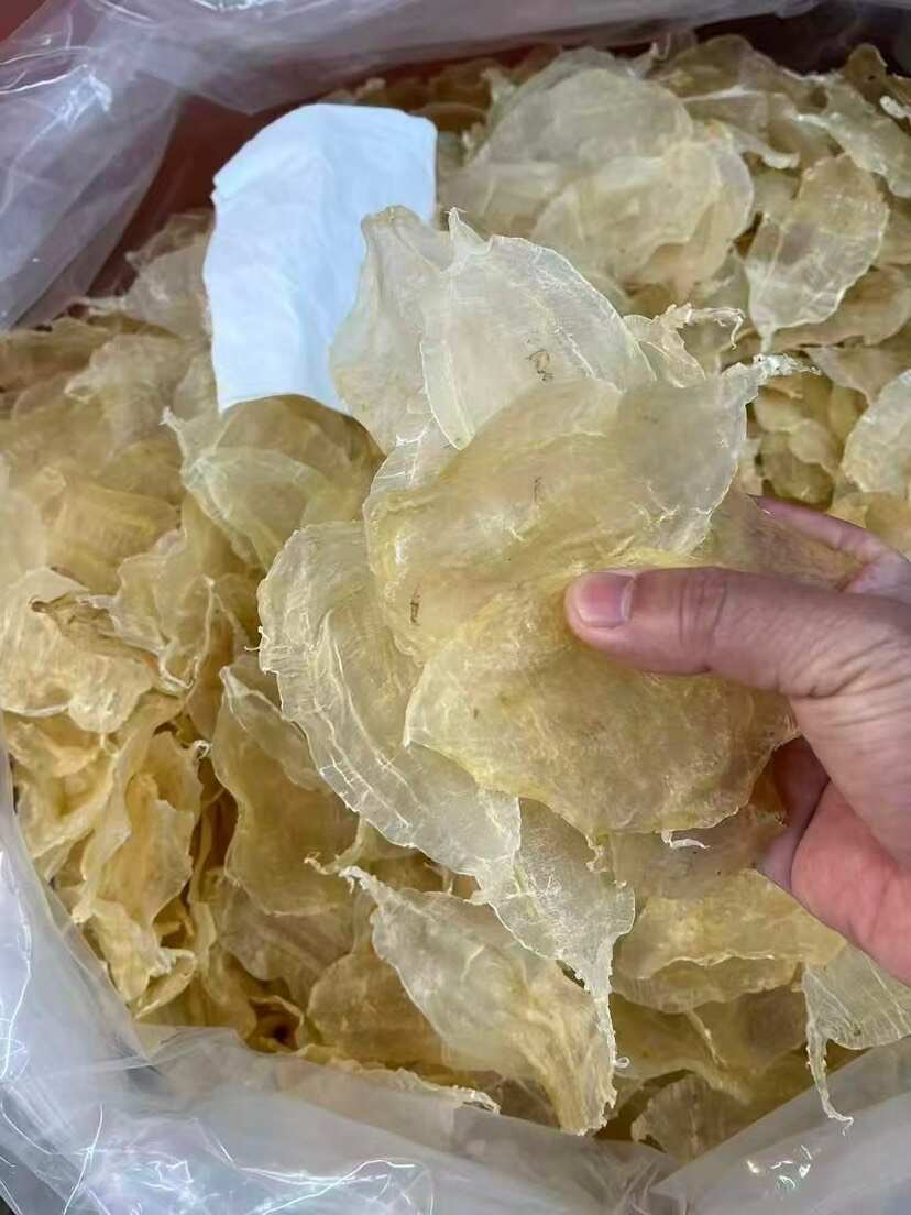 大囗白花胶 囗感胶质好135头