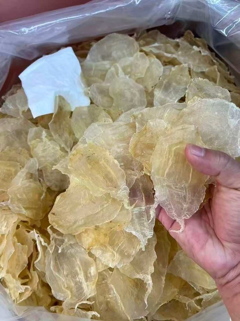 大囗白花胶 囗感胶质好135头