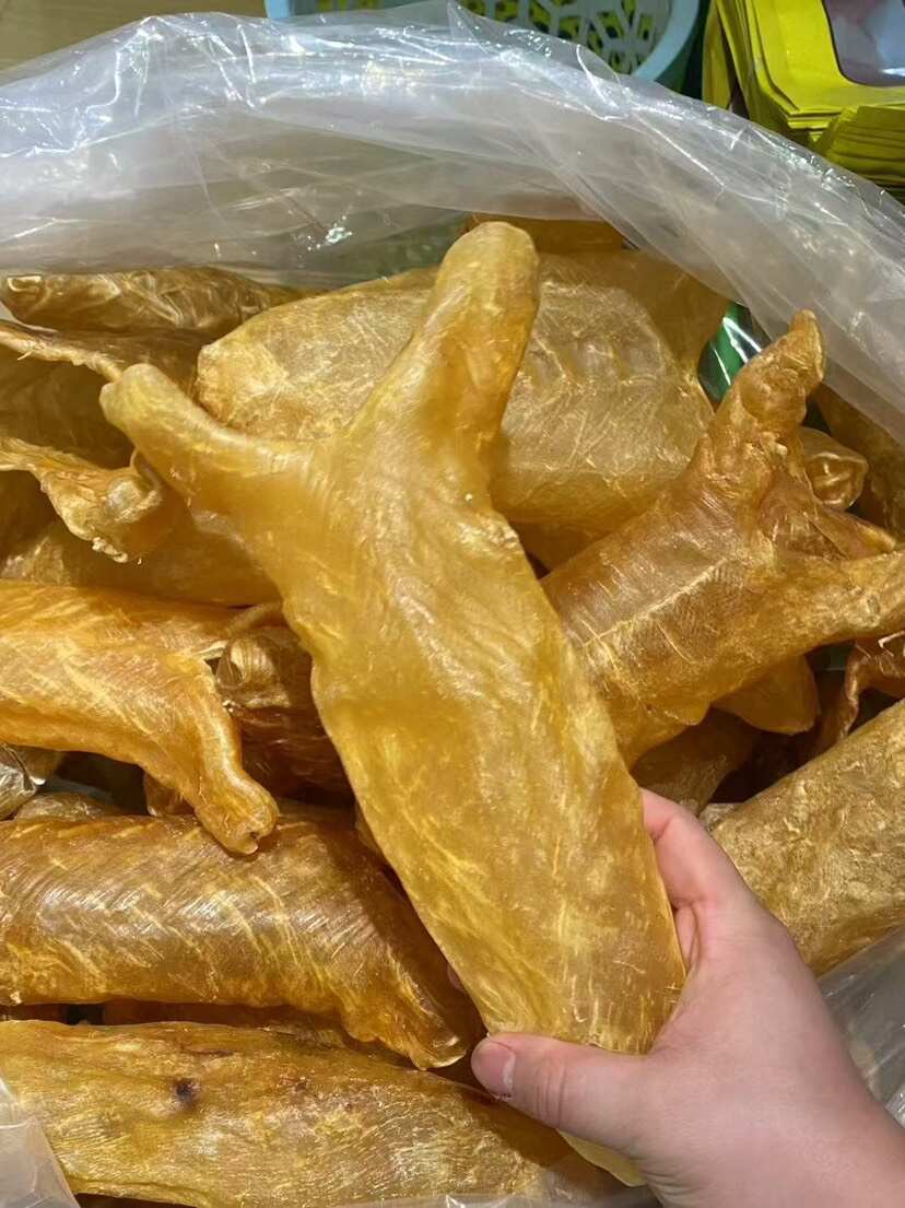 巨大黄花胶筒 淡干 可以散出 3头