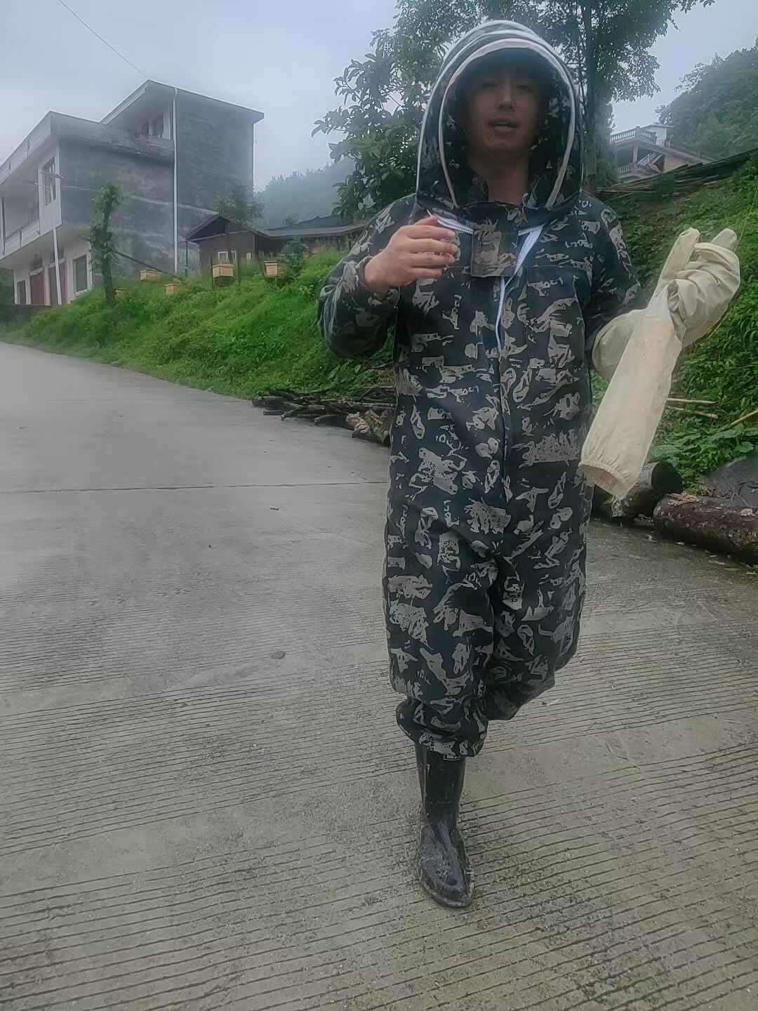 第一次养蜜蜂，不种建议，可我坚持走土蜂蜜，蜂蜜的路
