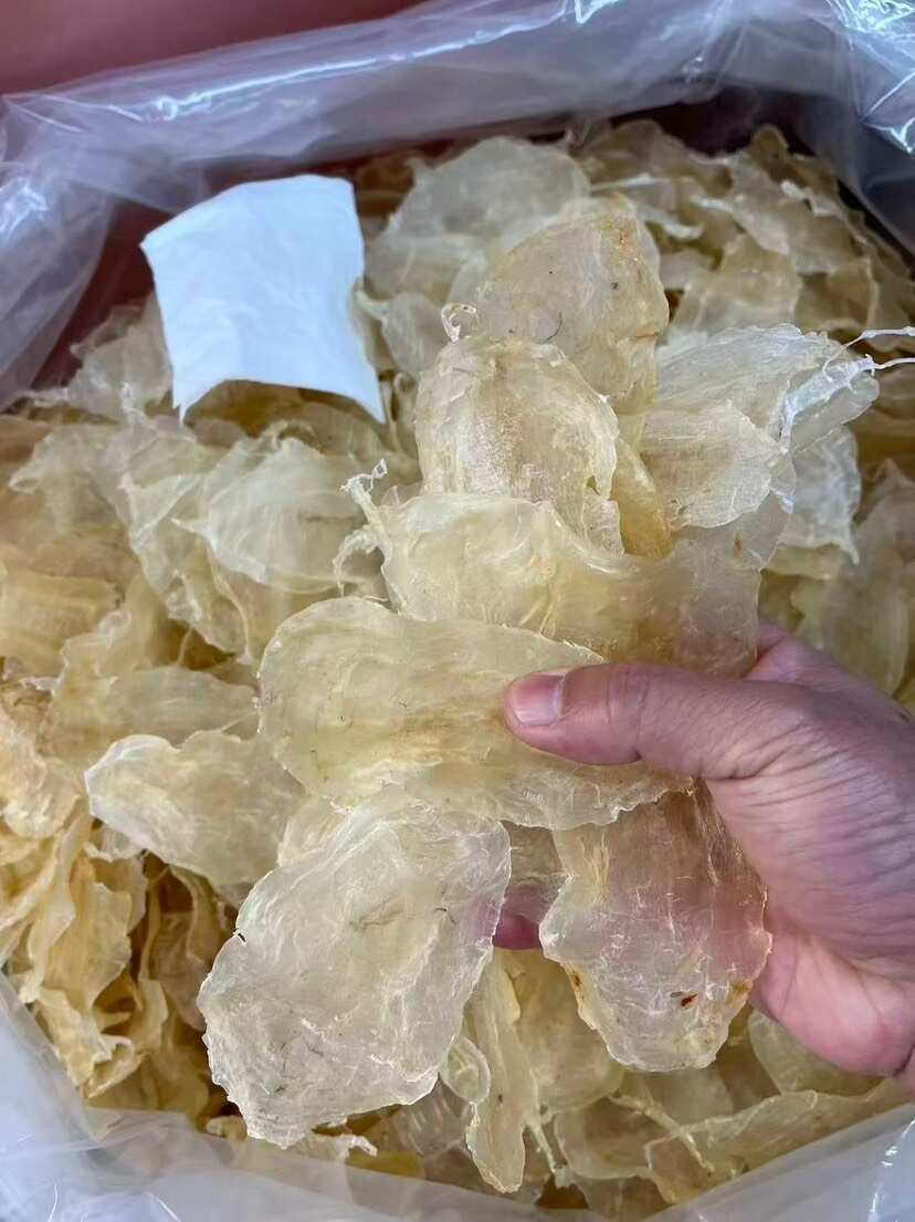 大囗白花胶 囗感胶质好135头