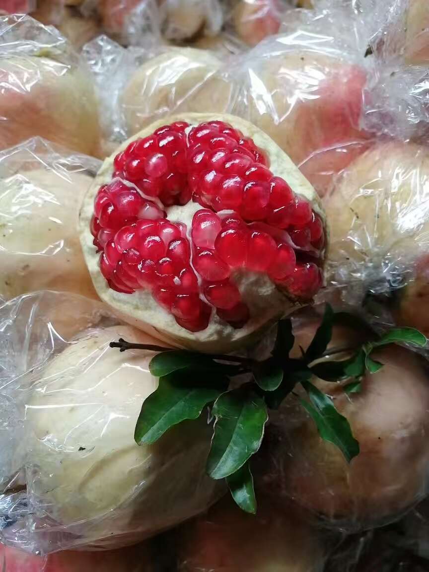 临潼骊山甜石榴，酸石榴