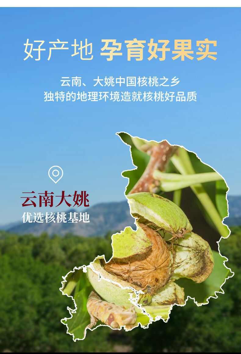严选云南大姚薄皮核桃手剥生核桃奶香熟核桃坚果零食批发5斤