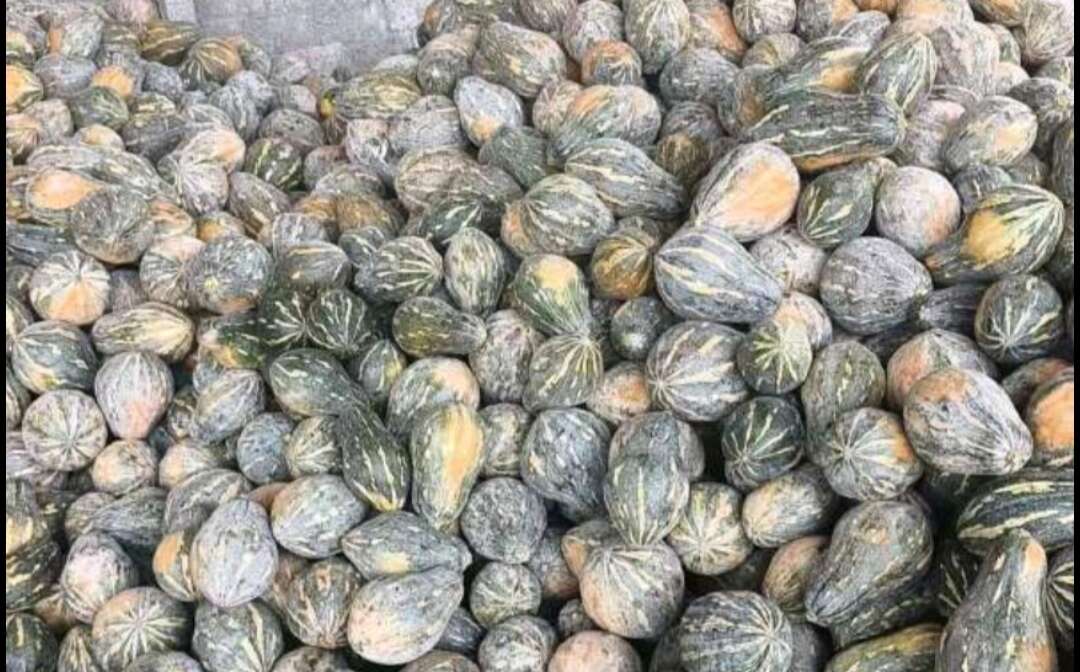 香芋南瓜，万亩基地，品质保障