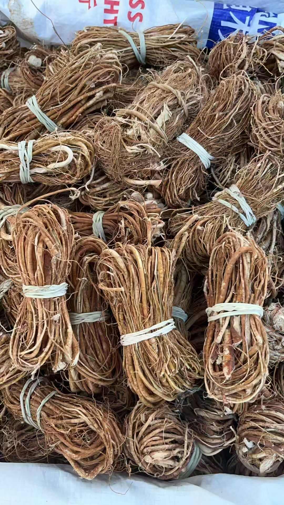 五指毛桃扎把  新鲜干货 陆川产地直发 家用/商用食材批发