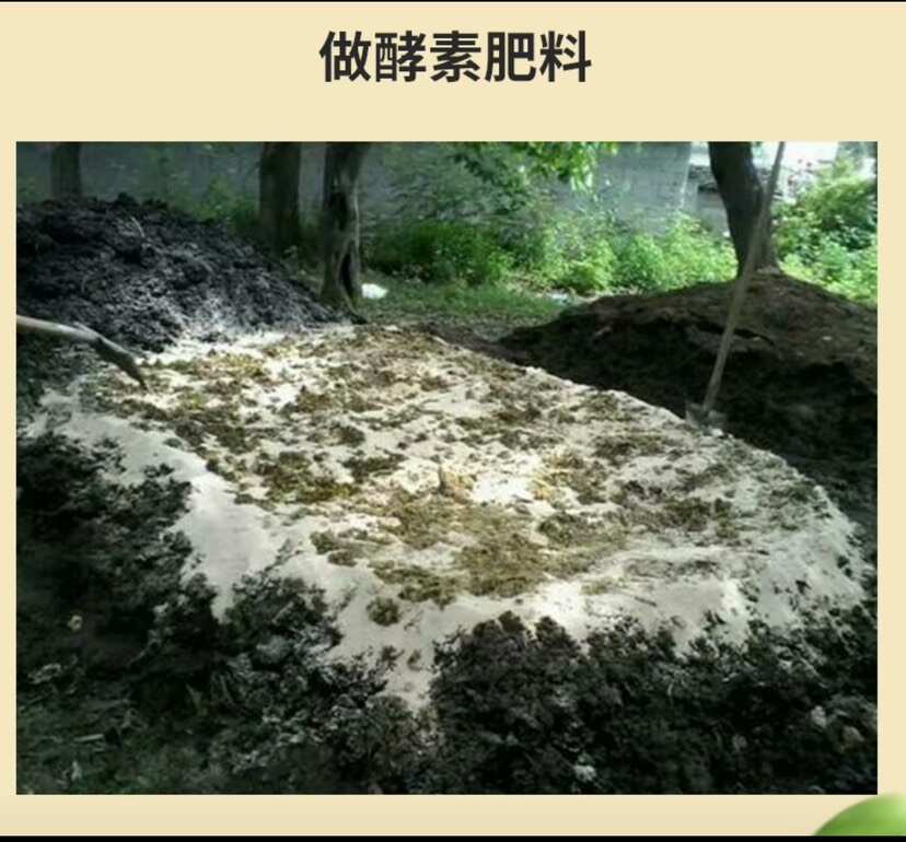 东北油糠高油脂高蛋白米糠饲料原料全年大量供应