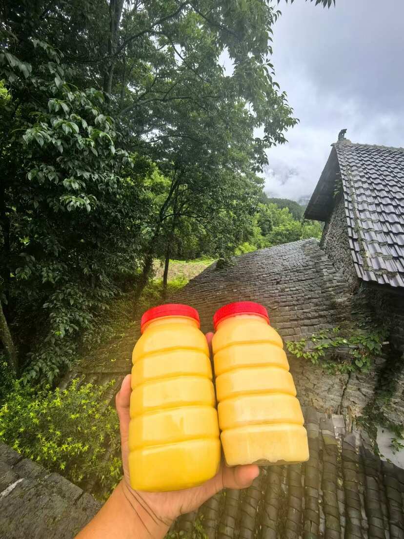 大力土蜂蜜（重庆南川山王坪殷家溪）