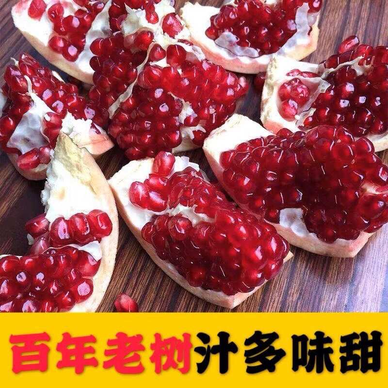 陕西西安临潼石榴