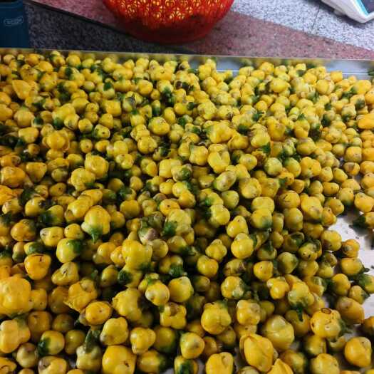 防城港金花茶花苞