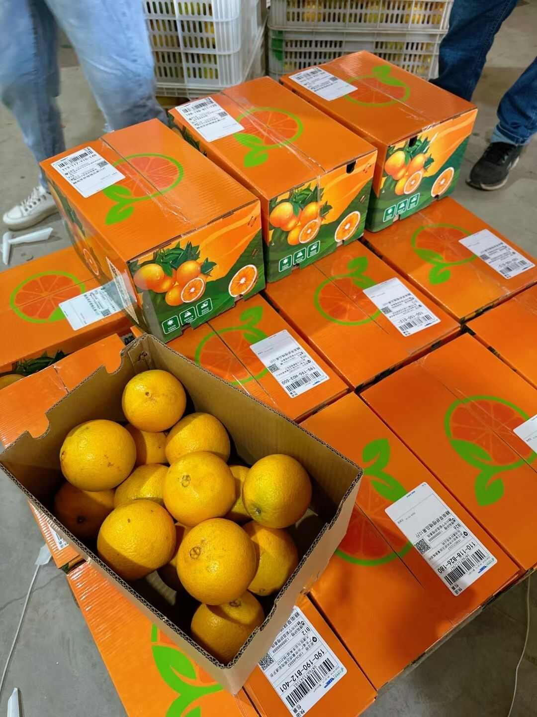 江西赣南信丰脐橙现摘现发当季新鲜水果酸甜整箱9-10斤