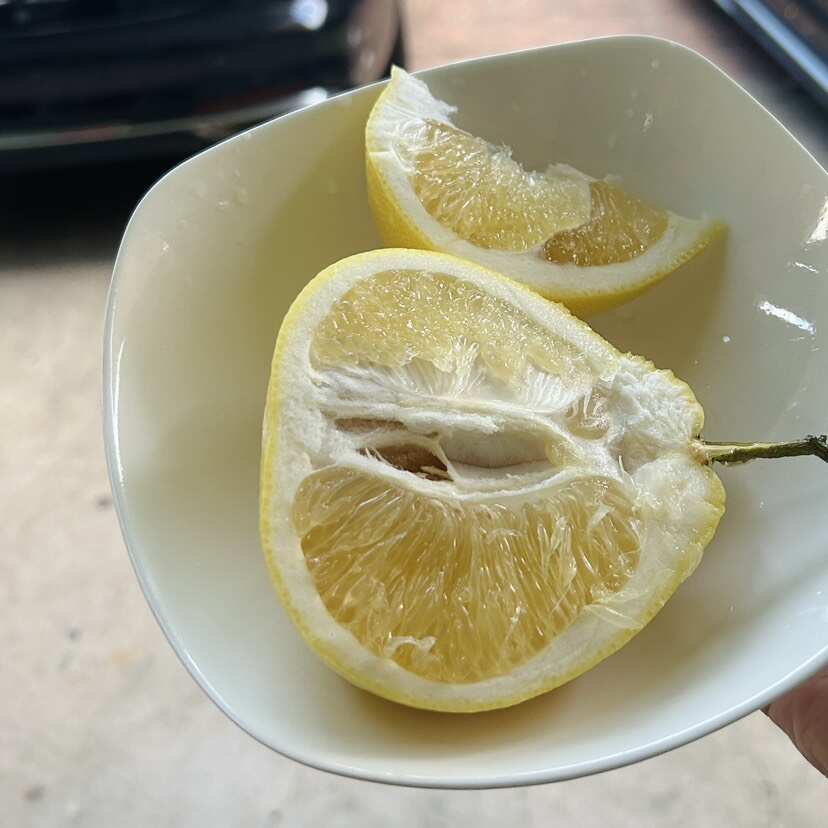 福建平和黄金葡萄柚子新鲜水果包邮当季黄心蜜柚