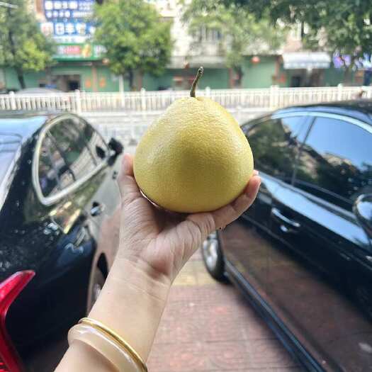 福建平和黄金葡萄柚子新鲜水果包邮当季黄心蜜柚