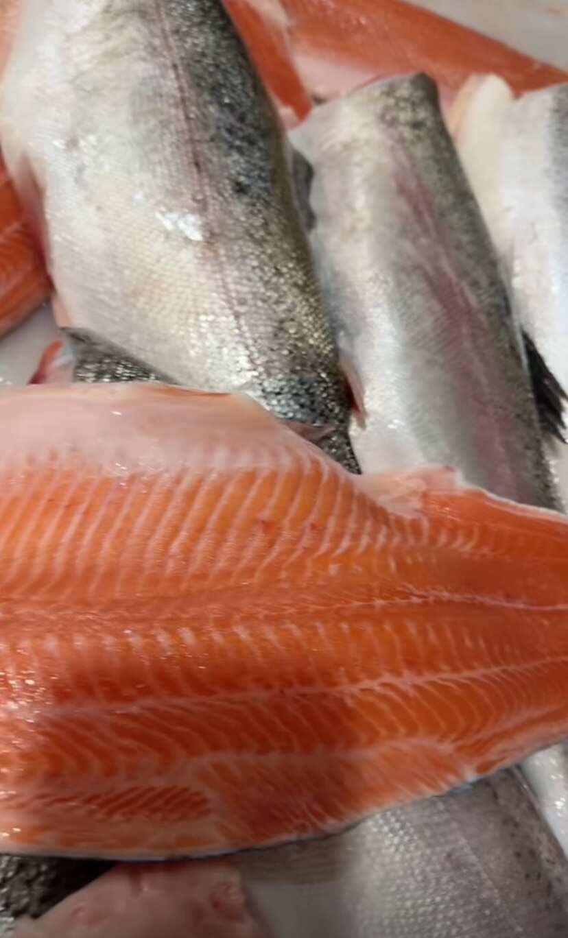 国产三文鱼柳，现切大鱼片自助餐用食材