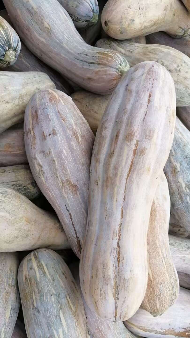 南瓜