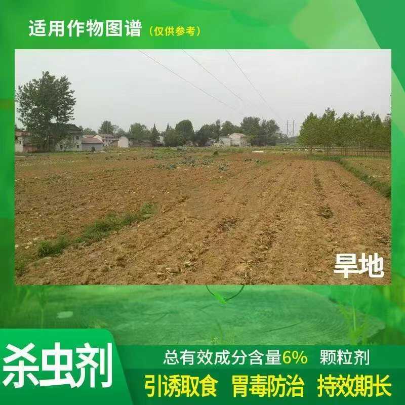 罗丝丁  6%四聚乙醛杀蜗牛药  杀虫剂甘蓝蜗牛药颗粒剂撒施