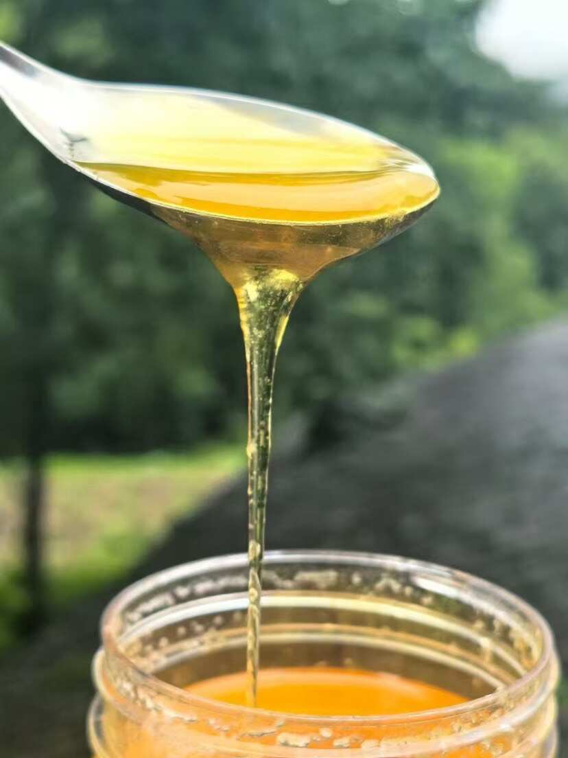 大力土蜂蜜（重庆南川山王坪殷家溪）