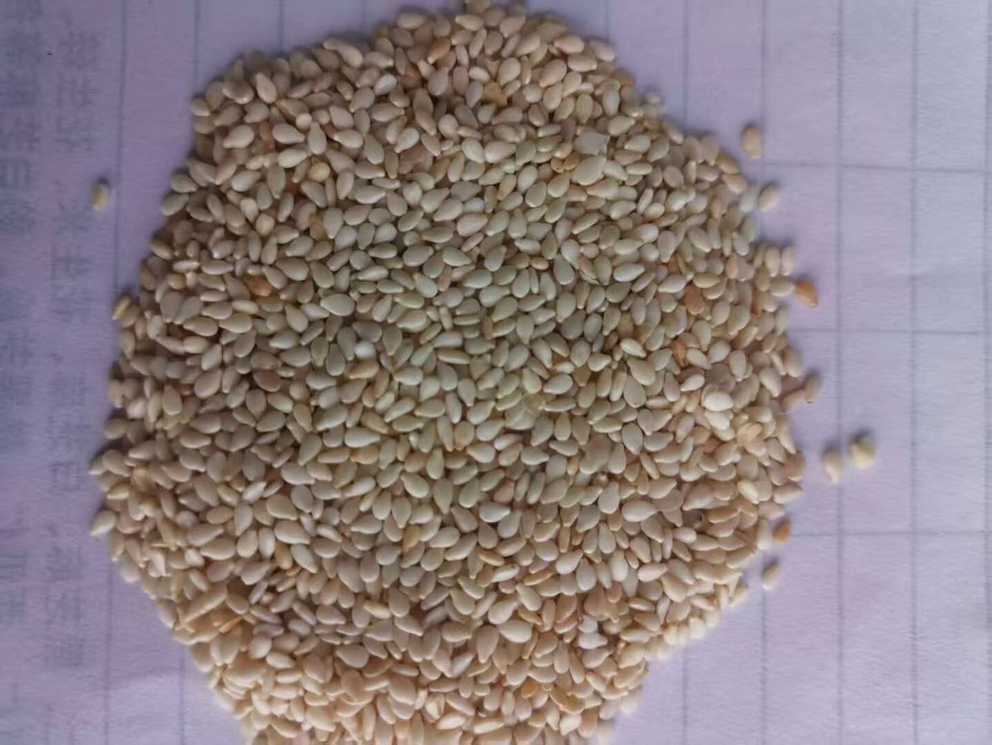 白芝麻，生白芝麻，熟白芝麻，芝麻仁