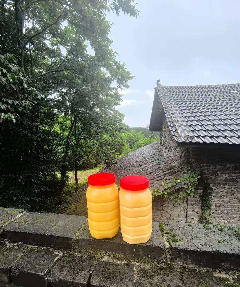 大力土蜂蜜（重庆南川山王坪殷家溪）