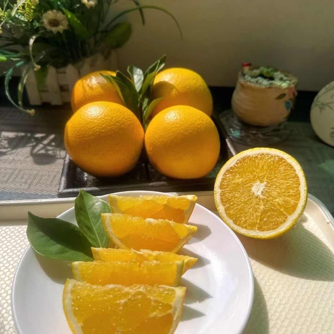江西赣南信丰脐橙现摘现发当季新鲜水果酸甜整箱9-10斤