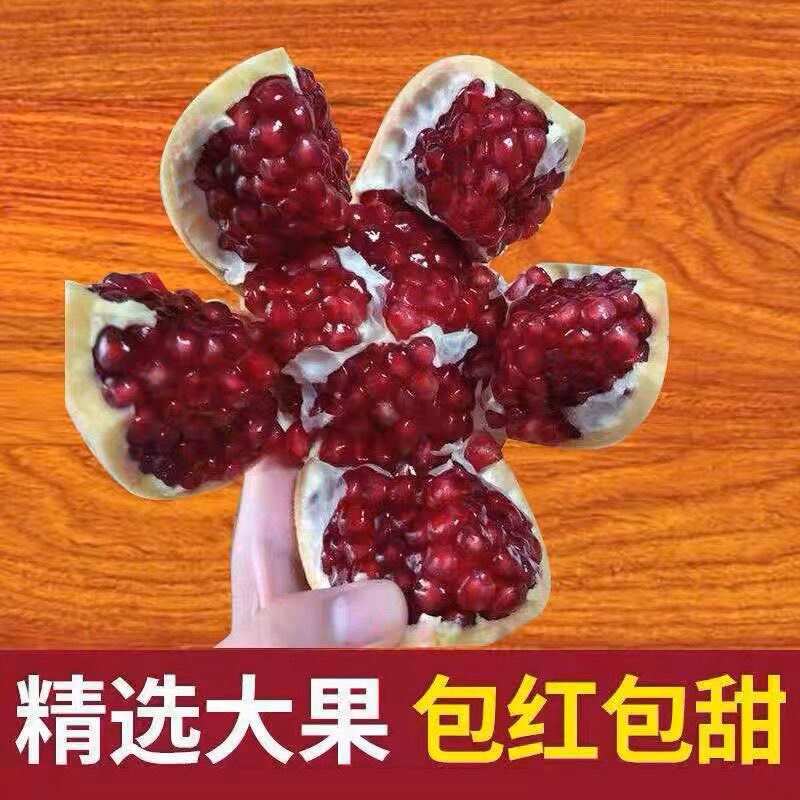 陕西西安临潼石榴