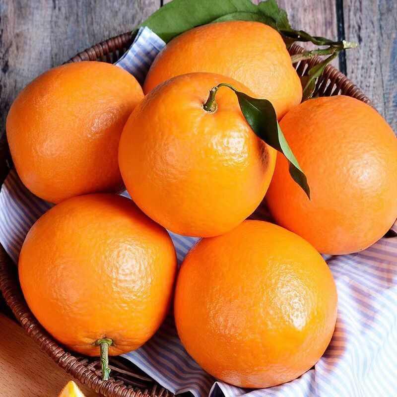 江西赣南信丰脐橙现摘现发当季新鲜水果酸甜整箱9-10斤