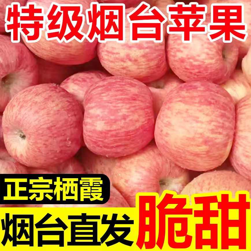 山东烟台栖霞苹果 产地直发 新鲜水果