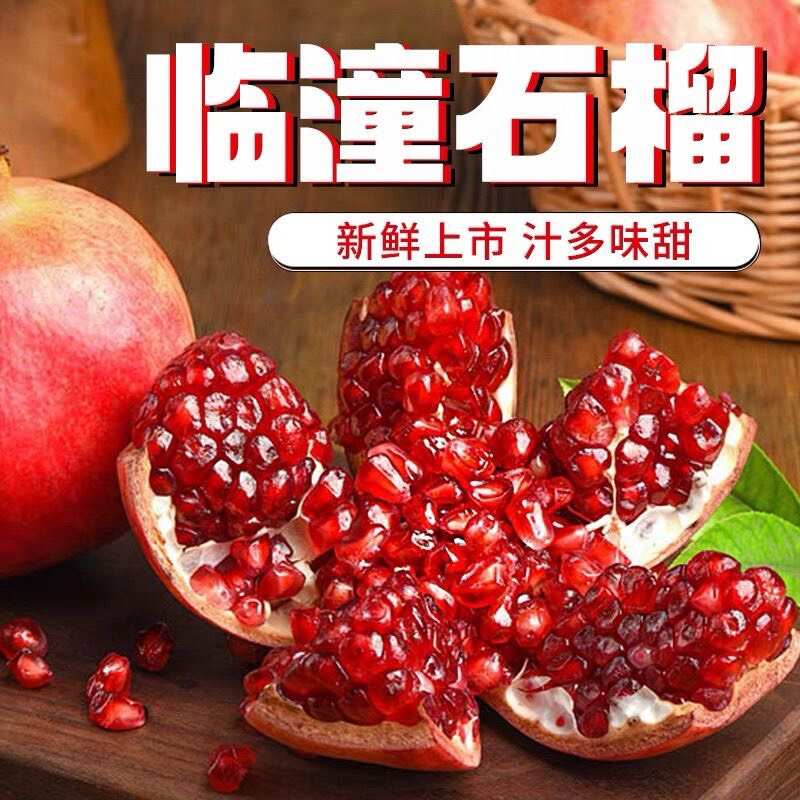 陕西西安临潼石榴