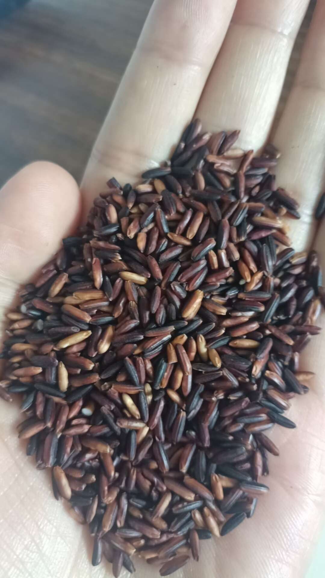 厂家直销血糯米（黑糯米）糯性好，颗粒饱满，均匀，规格齐全
