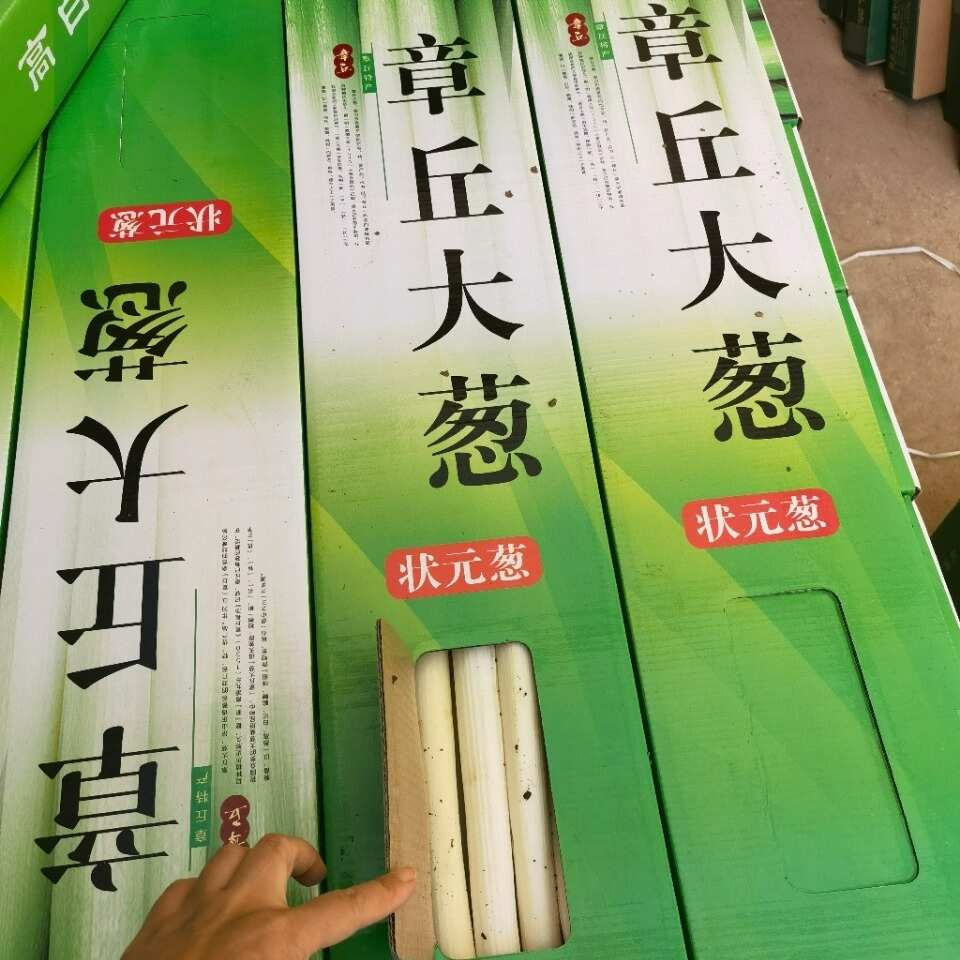 章丘大葱葱高杆白味脆甜