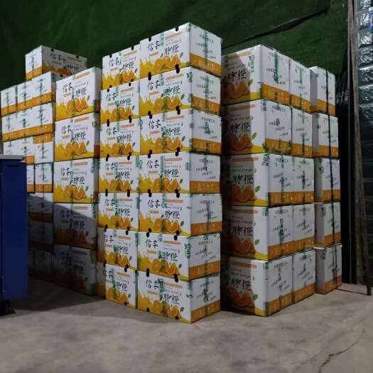 江西信丰纽荷尔橙 新鲜采摘柑橘类水果