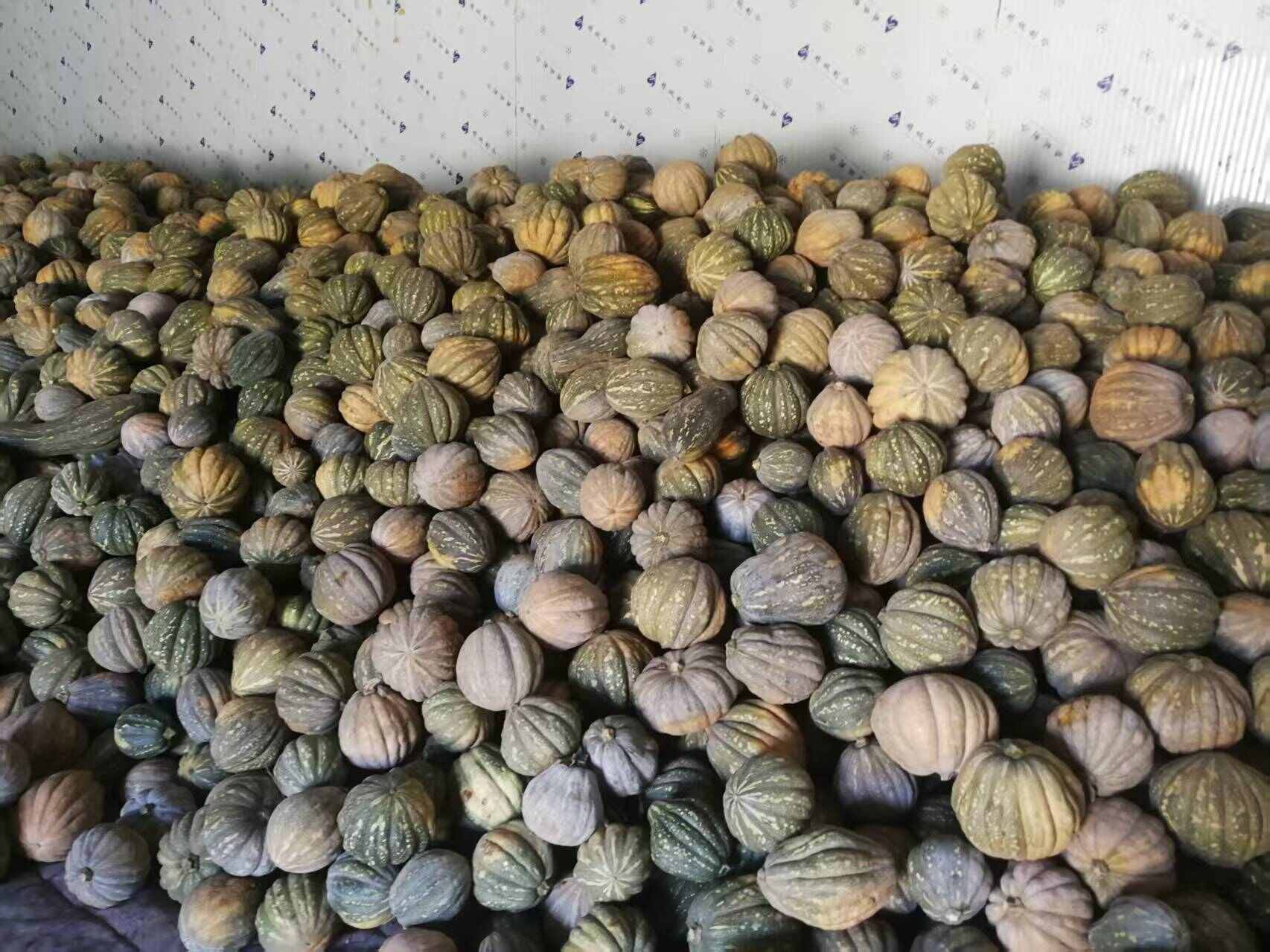 产地山西 鸿运南瓜 贝贝南瓜 量大精品