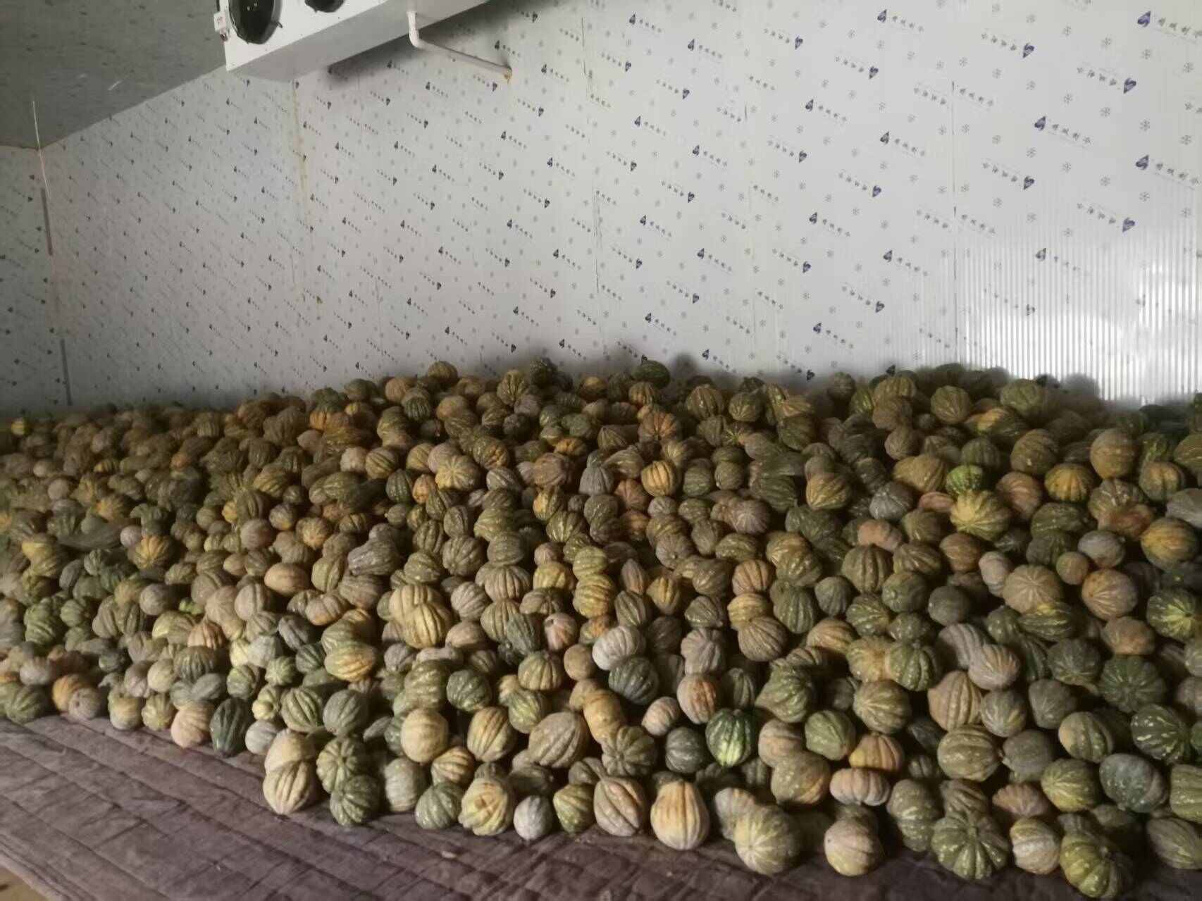 产地山西 鸿运南瓜 贝贝南瓜 量大精品