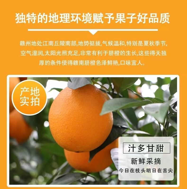 2025赣南脐橙江西橙子新鲜水果 5/10斤赣州手剥甜橙