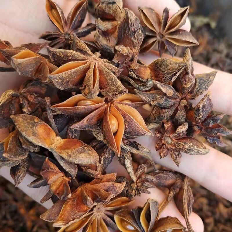 广西足干八角大料商用批发特产五香新货卤味桂皮调料卤料香料大全