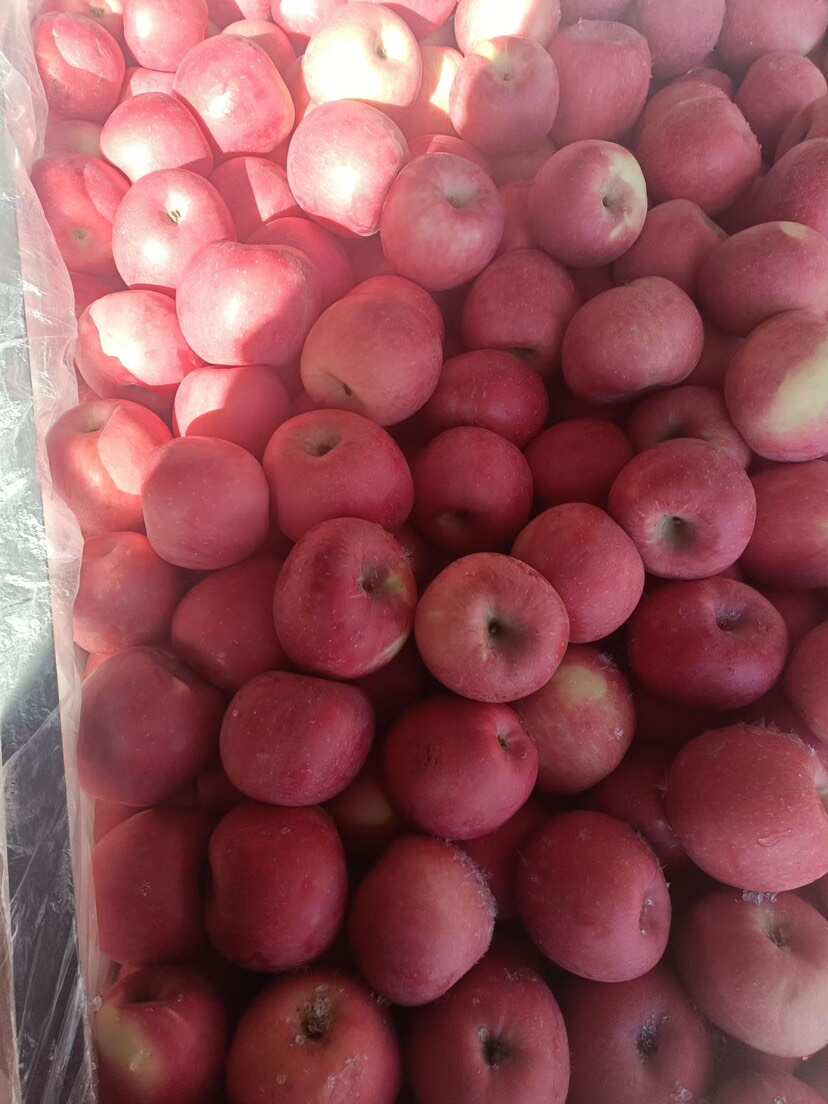 甘肃天水秦冠苹果 产地直发 新鲜采摘