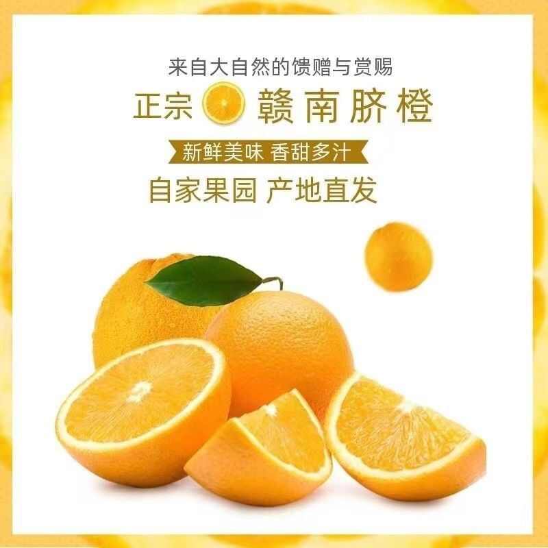 2025赣南脐橙江西橙子新鲜水果 5/10斤赣州手剥甜橙