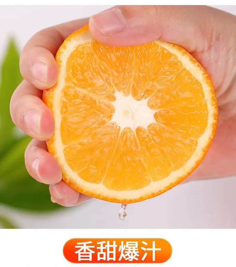 赣南脐橙