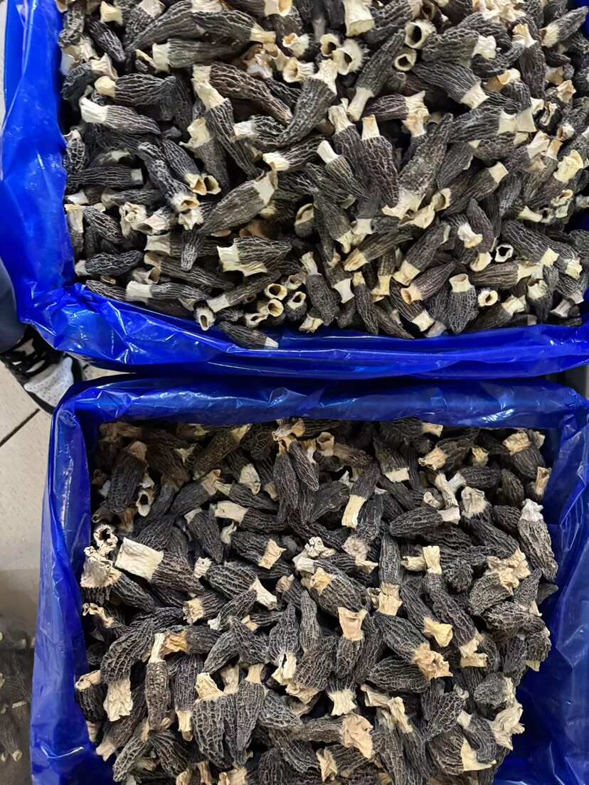 厚羊肚菌干货  5-8