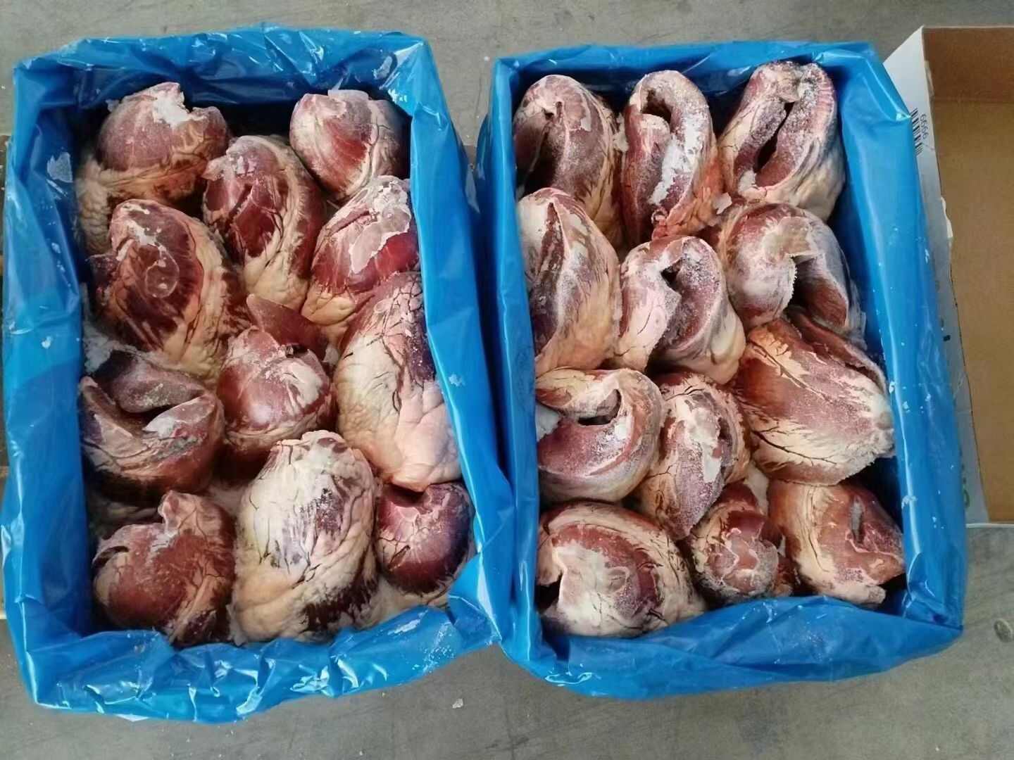 乌拉圭379厂牛心