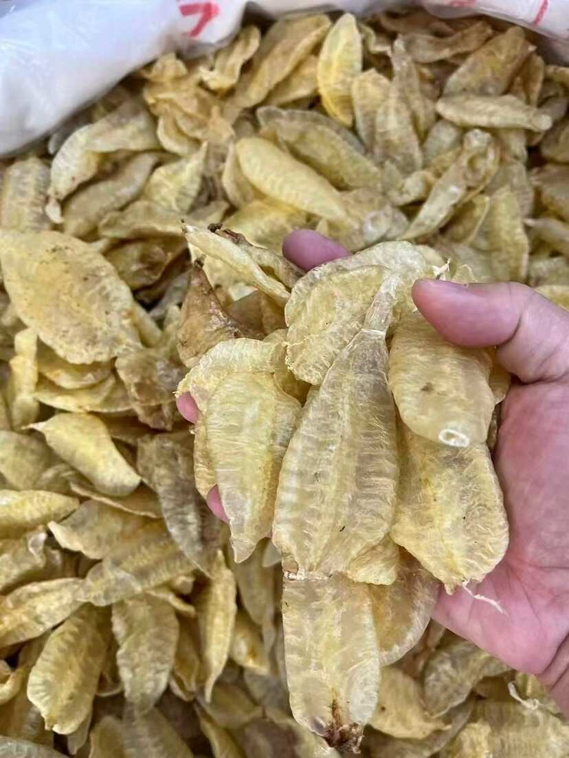 叶子胶 囗感胶质好 100-110头