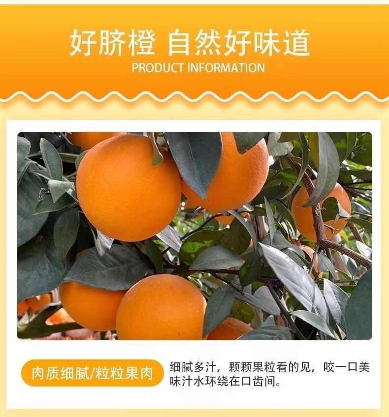 2025赣南脐橙江西橙子新鲜水果 5/10斤赣州手剥甜橙