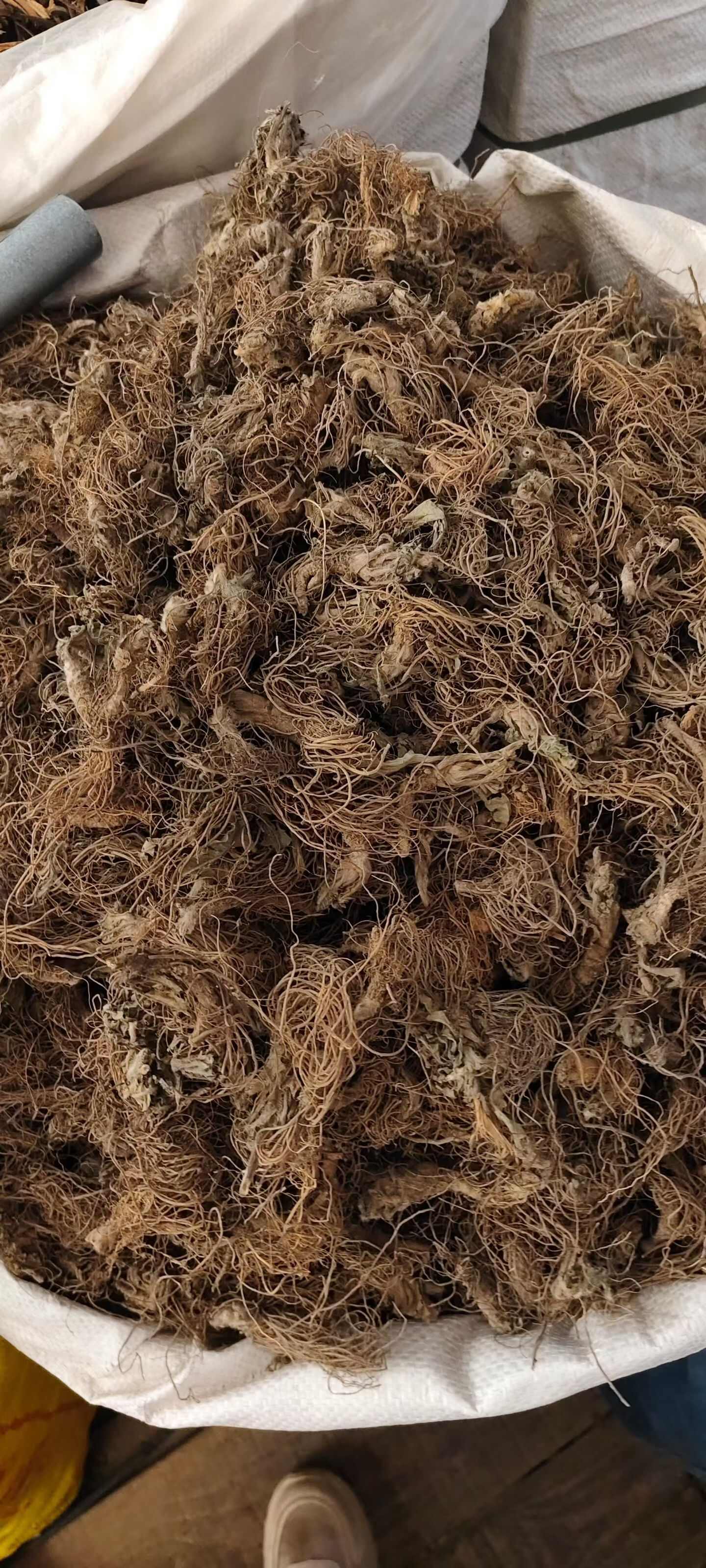广西玉林地胆草中药材全草类优质货源